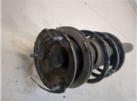 31316851365 Амортизатор подвески BMW X1 (E84) 2009-2015 20131649 #3