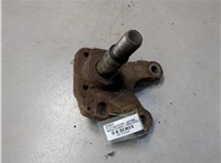  Ступица (кулак, цапфа) Renault Scenic 1996-2002 20132369 #1