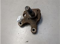  Ступица (кулак, цапфа) Renault Scenic 1996-2002 20132369 #2