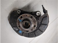 1K0615311F, 1K0407621F, 3C0407253F Ступица (кулак, цапфа) Volkswagen Passat 7 2010-2015 Европа 20133487 #6