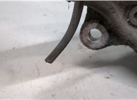  Ступица (кулак, цапфа) Audi A6 (C6) 2004-2011 20134545 #6