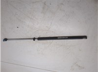4580770AE, 4580771AE Амортизатор капота Chrysler 300M 20136110 #3