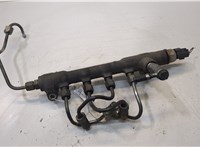 97376271 Рампа (рейка) топливная Opel Astra H 2004-2010 20136990 #2