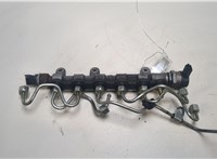  Рампа (рейка) топливная Renault Laguna 3 2007- 20138760 #1