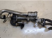  Охладитель отработанных газов Renault Scenic 2003-2009 20139727 #1