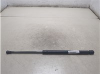 6896002031 Амортизатор крышки багажника Toyota Corolla E12 2001-2006 20140011 #4