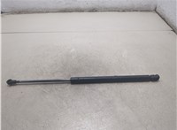 6896002031 Амортизатор крышки багажника Toyota Corolla E12 2001-2006 20140011 #5