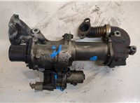  Клапан рециркуляции газов (EGR) Renault Kangoo 1998-2008 20143065 #1