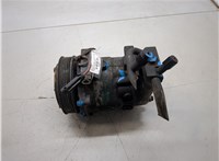 60814396 Компрессор кондиционера Fiat Multipla 1998-2010 20145477 #1