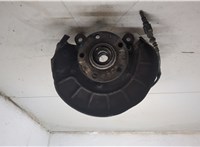 1T0498621, 1K0407255AA, 1K0615311F Ступица (кулак, цапфа) Skoda Octavia (A5) 2004-2013 20147815 #8