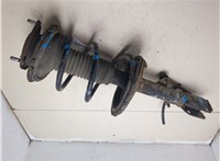 4852049625, 4813142250 Амортизатор подвески Toyota RAV 4 2000-2005 20150051 #5
