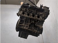 11002450323, 2450323 Двигатель (ДВС) BMW 1 E87 2004-2011 20153670 #7