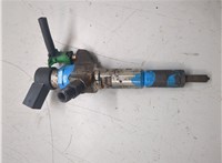 1980ER, 9802448680 Форсунка топливная Citroen C4 2010-2015 20154354 #1