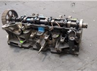  Головка блока (ГБЦ) Renault Clio 1998-2008 20154360 #14