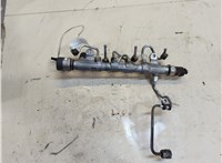  Рампа (рейка) топливная Volkswagen Tiguan 2011-2016 20155720 #1