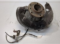 31216765157, 6765157, 31216793923, 6793923 Ступица (кулак, цапфа) BMW 1 E87 2004-2011 20158913 #1
