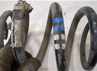 33536756982, 6756982 Пружина подвески BMW 3 E46 1998-2005 20159098 #2