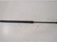 42723069 Амортизатор крышки багажника Chevrolet Trax 2016-2022 20161757 #1