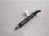 7701478016, 28232242 Форсунка топливная Renault Kangoo 1998-2008 20163571 #6