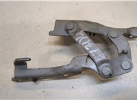  Петля капота Hyundai Sonata NF 2005-2010 20164498 #1