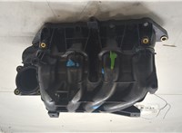  Коллектор впускной Volkswagen Golf 4 1997-2005 20164743 #2