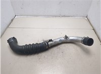 059145731AK Патрубок интеркулера Audi A6 (C6) Allroad 2006-2012 20165316 #4