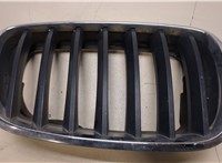 51137171396 Решетка радиатора BMW X5 E70 2006-2013 20168540 #1