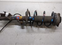 E4303JG01A, 54010JG20C Амортизатор подвески Nissan X-Trail (T31) 2007-2015 20173040 #7