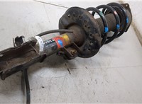 E4303JG01A, 54010JG20C Амортизатор подвески Nissan X-Trail (T31) 2007-2015 20173040 #9