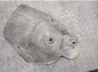  Защита арок (подкрылок) Renault Scenic 2003-2009 20176644 #1