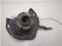 31221093427, 1093427, 31211092853, 1092853 Ступица (кулак, цапфа) BMW 5 E39 1995-2003 20176663 #6