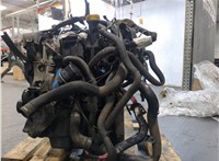 7701479146 Двигатель (ДВС) Renault Megane 3 2009-2016 20176944 #4