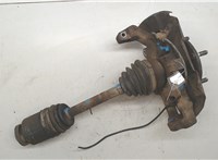 517163E250, 513003E200 Ступица (кулак, цапфа) KIA Sorento 2002-2009 20177598 #6