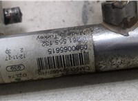1798431, CM5G9D280HB, 2117946, DM5G9F593AC Форсунка топливная Ford Focus 3 2011-2015 20185954 #2