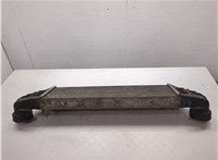17517791231 Радиатор интеркулера BMW X5 E53 2000-2006 20189125 #6