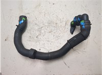 1543842, 4M5Q9B395AE ТНВД Ford Focus 2 2005-2008 20192188 #7