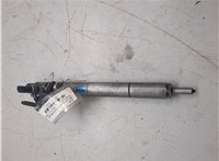 6650170121 Форсунка топливная SsangYong Rexton 2001-2007 20197709 #5