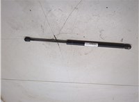  Амортизатор стекла багажника Ford Explorer 2001-2006 20199736 #3