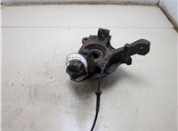 50701139, 51824630 Ступица (кулак, цапфа) Fiat Stilo 20204257 #7