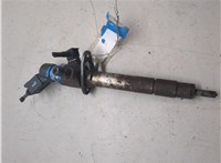 6H4Q9K546DB Форсунка топливная Land Rover Range Rover 3 (LM) 2002-2012 20205525 #5
