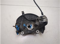 1K0407621F, 3C0407253F, 1K0615311F Ступица (кулак, цапфа) Volkswagen Passat CC 2012-2017 20205779 #2