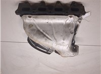 8200119714, 8200775978, 8200775979 Коллектор выпускной Renault Scenic 2003-2009 20206885 #6