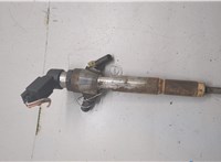 166009445R, 8200294788 Форсунка топливная Renault Scenic 2009-2012 20210048 #3