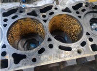  Блок цилиндров (Шорт блок) Ford Transit 2006-2014 20211470 #10
