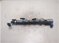 A6510700595, A6510700800 Рампа (рейка) топливная Mercedes E W212 2009-2013 20211832 #10