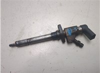  Форсунка топливная Ford S-Max 2006-2010 20213235 #1