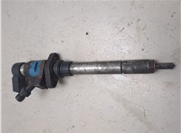  Форсунка топливная Ford S-Max 2006-2010 20213237 #1