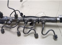  Рампа (рейка) топливная Mercedes E W212 2009-2013 20213304 #1