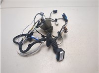  Электропроводка Renault Laguna 2 2001-2007 20214296 #1