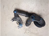  Натяжитель приводного ремня Audi A6 (C5) 1997-2004 20214655 #1